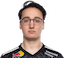 psychoferret