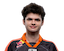 oscarinin