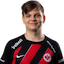dizl