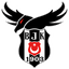 Beşiktaş Esports