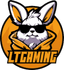 LT Gaming