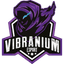 Vibranium Esports