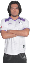 Braulio