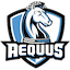 Aequus