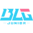 Bilibili Gaming Junior