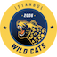 Istanbul Wildcats