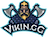 ViKin.gg