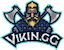 ViKin.gg