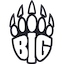 BIG Academy