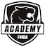 FURIA Academy