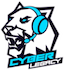 Cyber Legacy