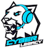 Cyber Legacy