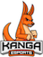 Kanga Esports