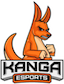 Kanga Esports