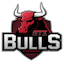 GTZ Bulls