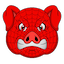 Spider Pigzs