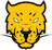 Jaguares