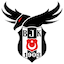 Beşiktaş Esports