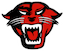 Davenport University