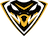 Team Viper