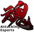 Attacking Soul Esports
