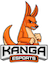 Kanga Esports