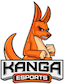 Kanga Esports