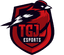 TGJ Esports