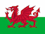 Team Wales