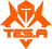 TOP Esports Armor