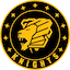 Pittsburgh Knights Academy