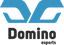 Domino Esports