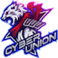Cyber Union
