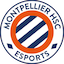 MHSC Esport