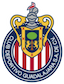 Chivas Esports