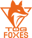 Team Orange Gaming
