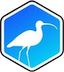 Curlews