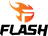 Team Flash