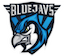 BLUEJAYS Lite