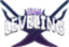 Team Leveling