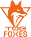 TeamOrangeGaming