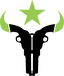 Houston Outlaws