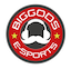 Big Gods eSports