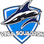 Vega Squadron