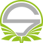 Team Singularity