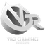 Vici Gaming Reborn