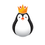Team Kinguin