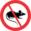 No Rats