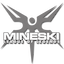 Team Mineski