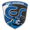 ESC Gaming